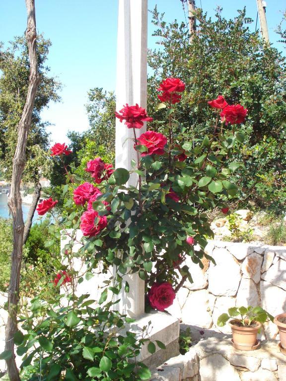 Tri Sestre Rooms Dubrovnik Exterior photo